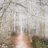 monica, 30 years old, Bar-le-Duc, France