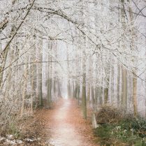 monica, 30 years oldBar-le-Duc, France