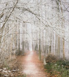 monica, 30 years old, Women, Bar-le-Duc, France