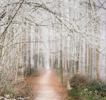 monica, 30 years old, Bar-le-Duc, France